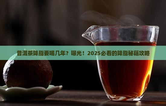 普洱茶降脂要喝几年以上的