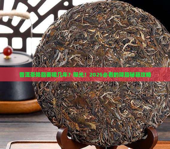 普洱茶降脂要喝几年以上的