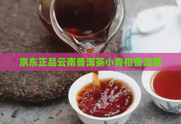正宗云南小青柑普洱茶
