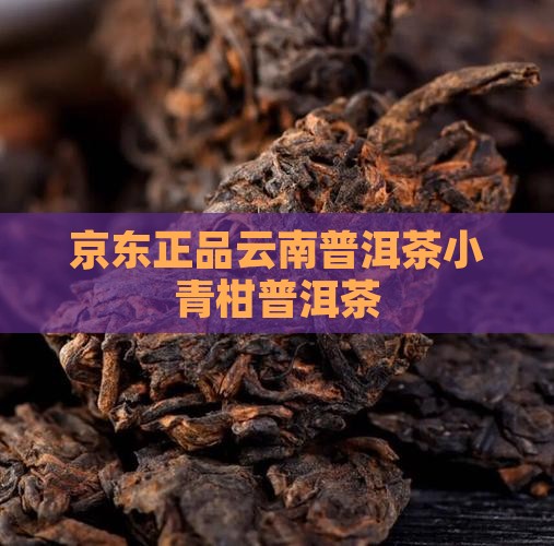 正宗云南小青柑普洱茶