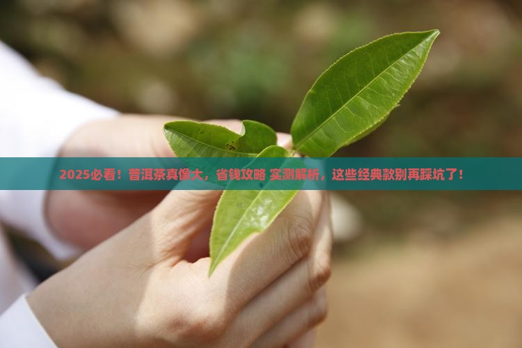 最经典普洱茶推荐一下