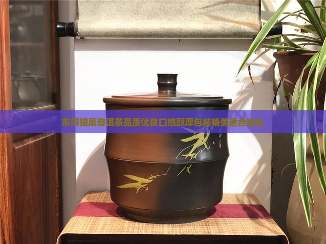 东河猎鹰普洱茶