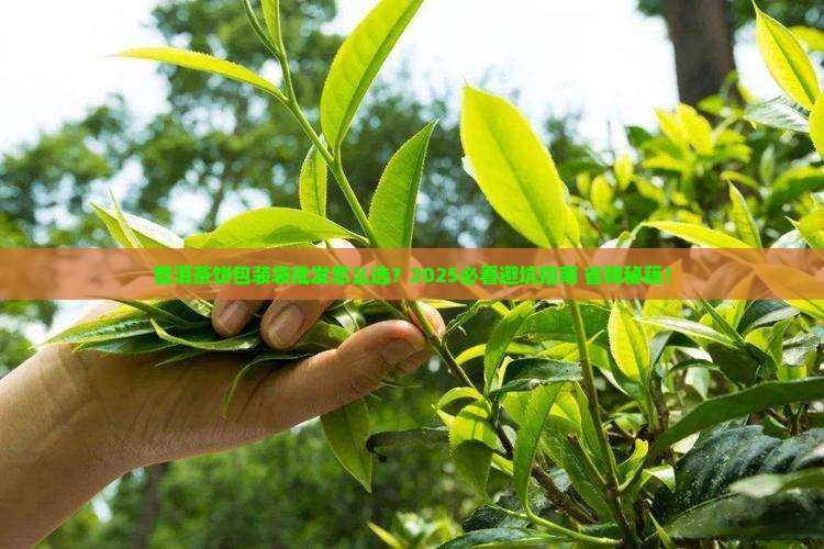 普洱茶饼包装普洱茶包装袋批发