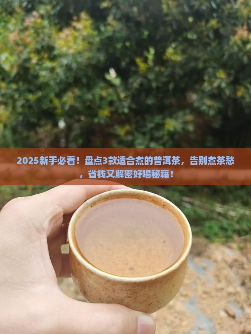 哪些普洱茶适合煮