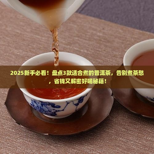 哪些普洱茶适合煮