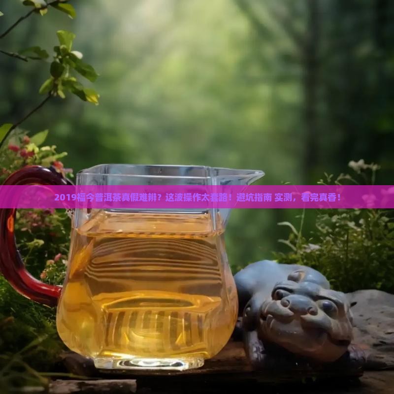 2019福今普洱茶假货