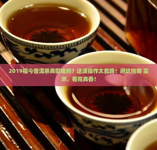 2019福今普洱茶假货