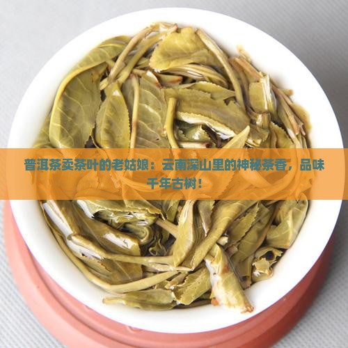 普洱茶卖茶叶的老姑娘