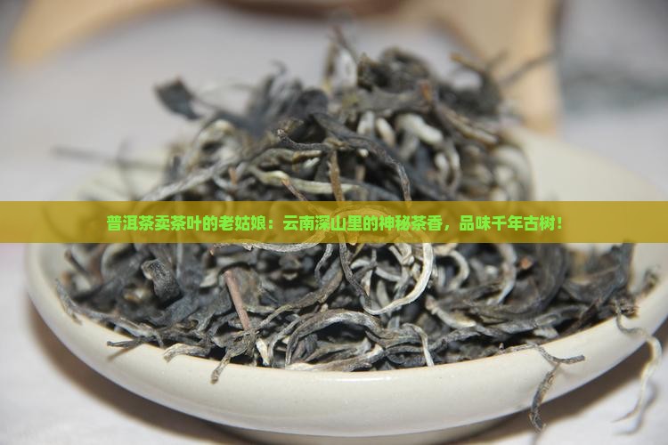 普洱茶卖茶叶的老姑娘