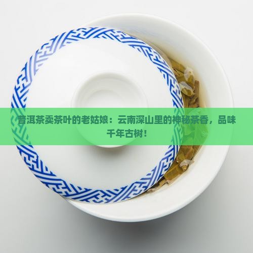 普洱茶卖茶叶的老姑娘