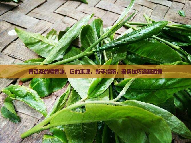 普洱茶的糯香味