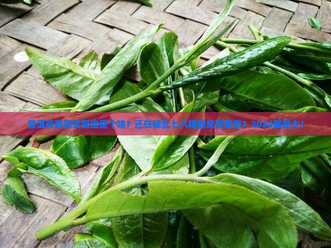 普洱茶最高奖是什么奖
