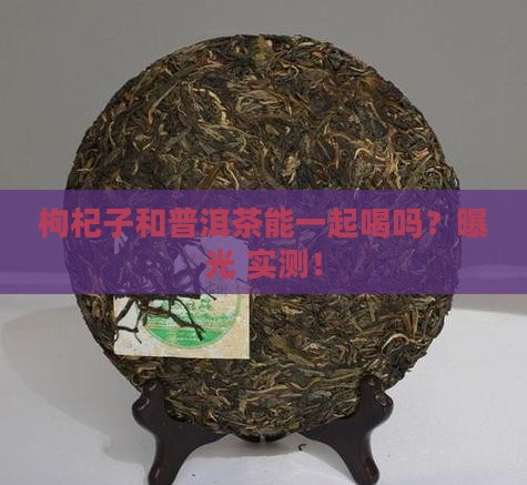 枸杞子和普洱茶能一起喝吗