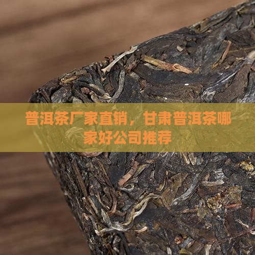 甘肃普洱茶哪家好厂家直销