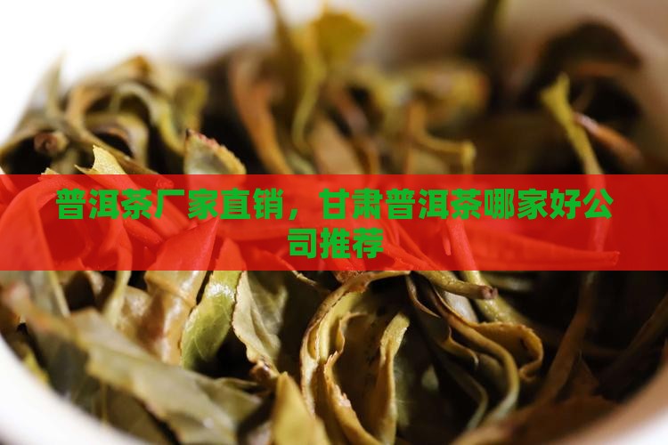 甘肃普洱茶哪家好厂家直销