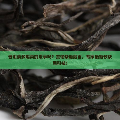 普洱茶多喝没事吗