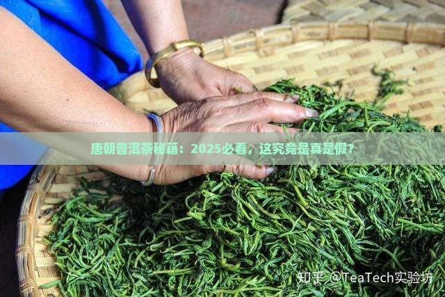 普洱茶唐朝时期