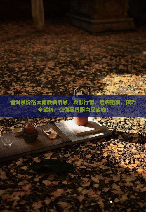 普洱茶价格云南最新消息