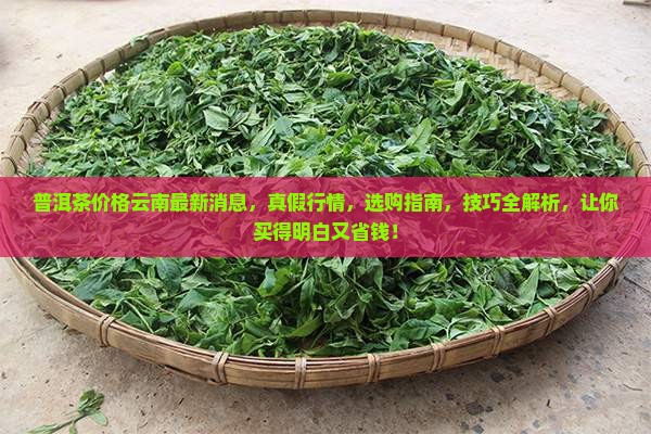 普洱茶价格云南最新消息