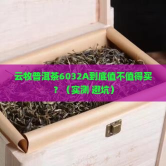 云牧普洱茶6032A