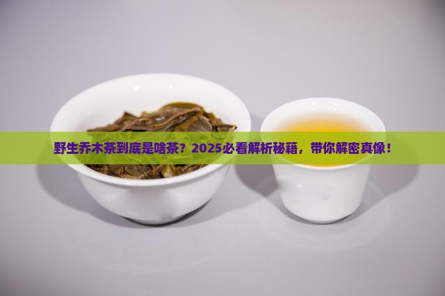 野生乔木茶属于什么茶