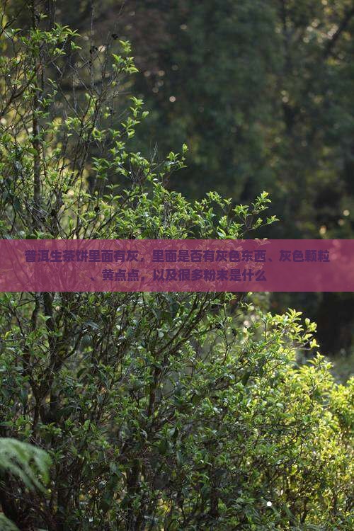 普洱生茶饼里面有灰