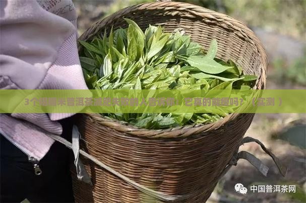 糯米普洱茶能减肥不