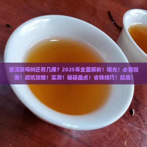 普洱茶母树还有几棵