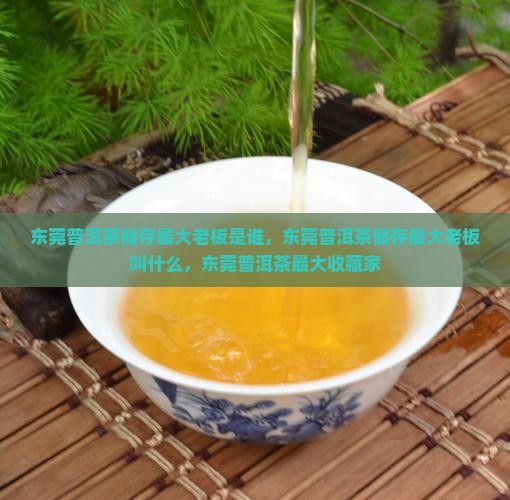 东莞普洱茶储存最大老板