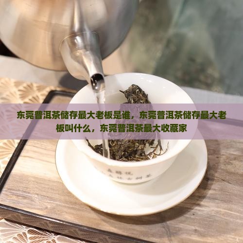 东莞普洱茶储存最大老板