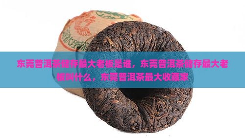 东莞普洱茶储存最大老板