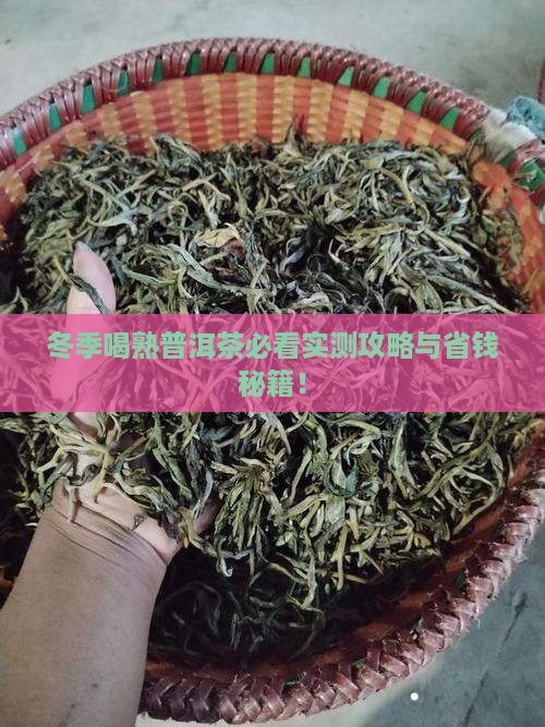 冬季喝熟普洱茶