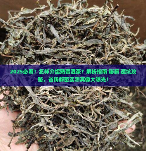 怎样介绍熟普洱茶