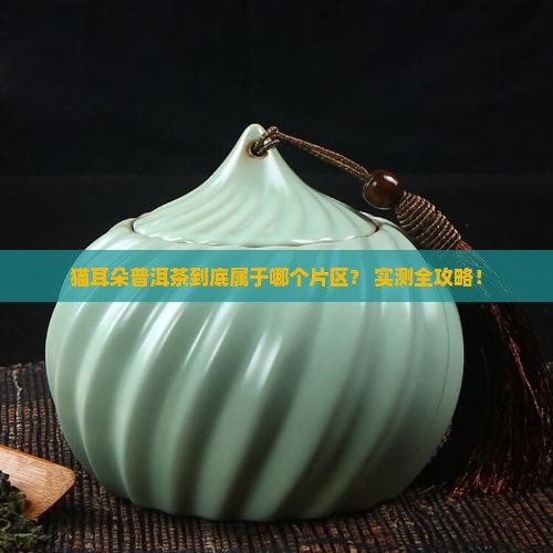 猫耳朵普洱茶属于哪个片区