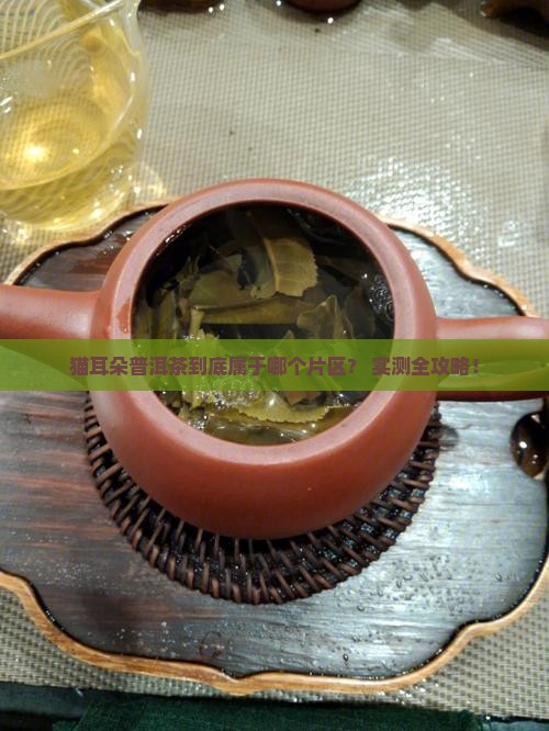 猫耳朵普洱茶属于哪个片区