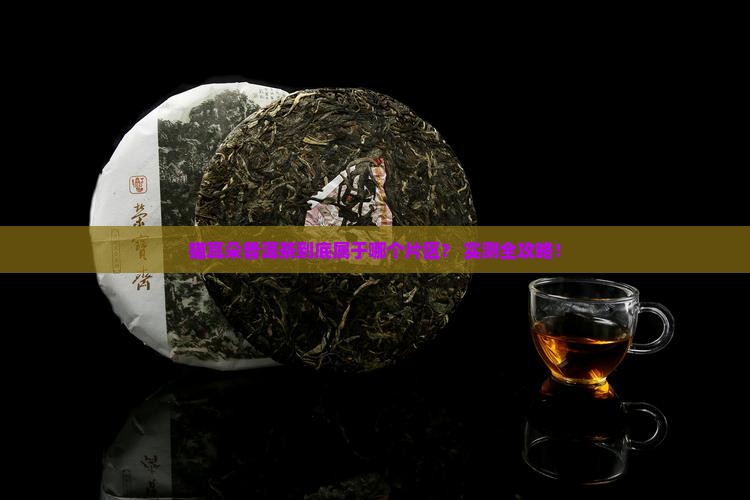 猫耳朵普洱茶属于哪个片区