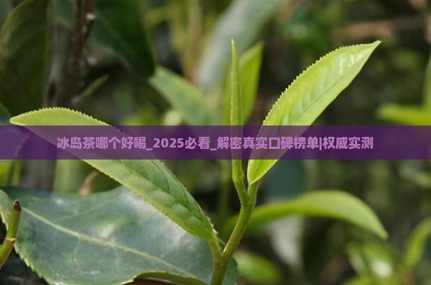 冰岛茶哪个品牌好喝