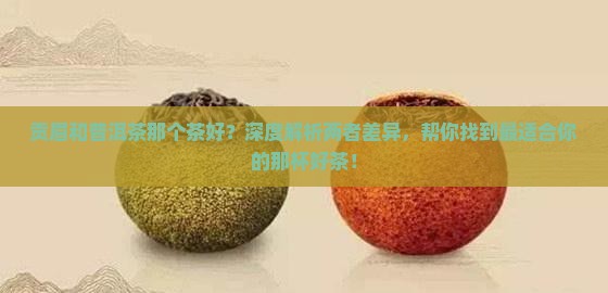 贡眉和普洱茶那个茶好