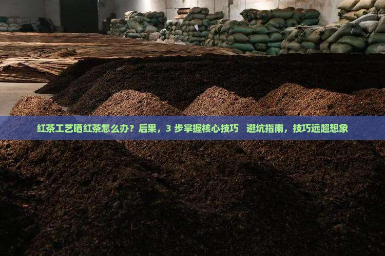 红茶工艺晒红茶