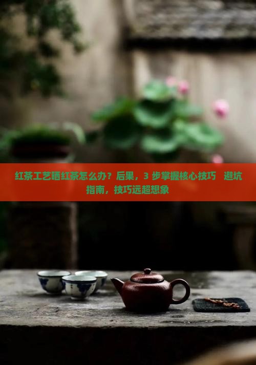 红茶工艺晒红茶