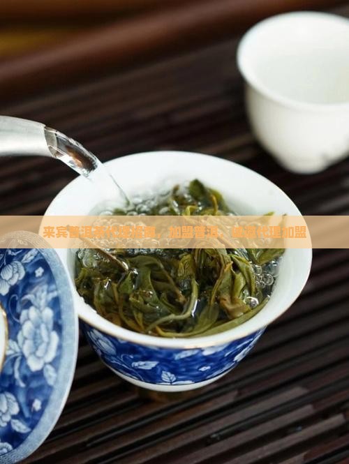 来宾熟普洱茶代理招商