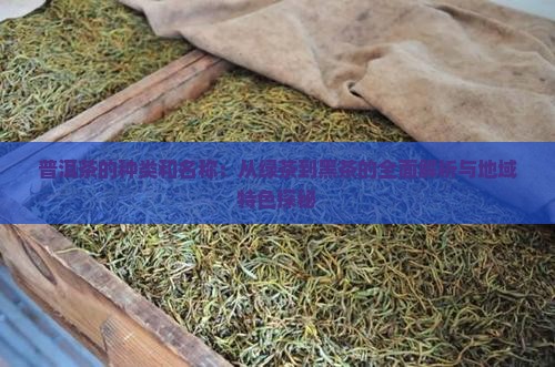 普洱茶的种类和名称：从绿茶到黑茶的全面解析与地域特色探秘