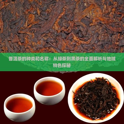 普洱茶的种类和名称：从绿茶到黑茶的全面解析与地域特色探秘