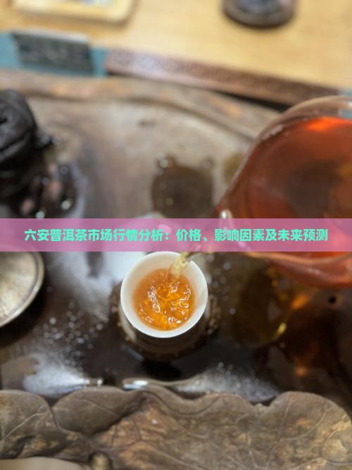 六安普洱茶市场行情分析：价格、影响因素及未来预测