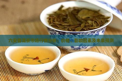 六安普洱茶市场行情分析：价格、影响因素及未来预测
