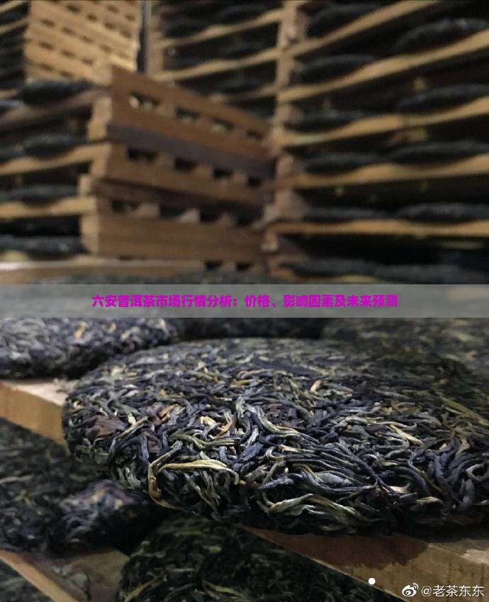 六安普洱茶市场行情分析：价格、影响因素及未来预测