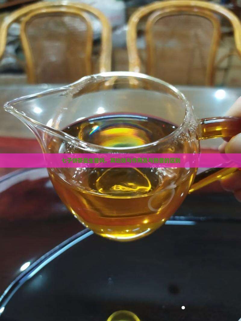 七子饼茶是生普吗，其功效与作用及与熟普的区别