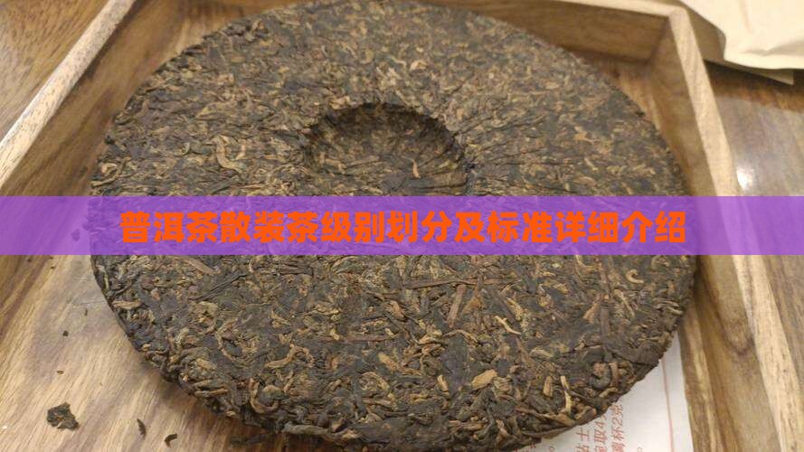 普洱茶散装茶级别划分及标准详细介绍
