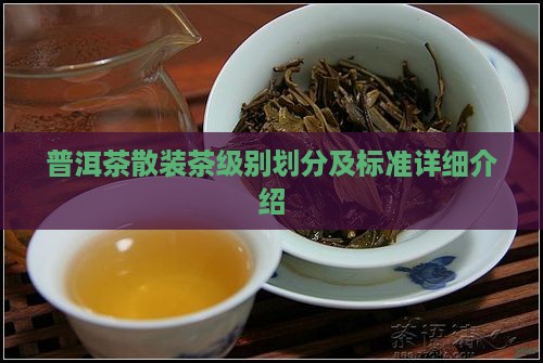 普洱茶散装茶级别划分及标准详细介绍