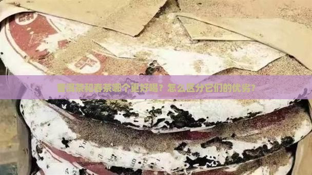 普洱茶和春茶哪个更好喝？怎么区分它们的优劣？
